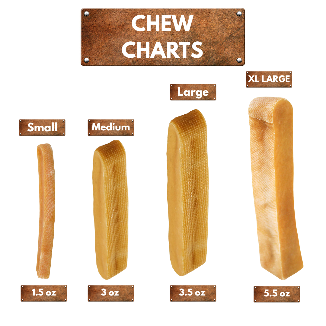 Taboche Dog Chew- Yak Cheese - All Natural & Organic- Long Lasting- A Flavor of The Himalayas - Medium Pack of 4- 396 Grams- 14 oz