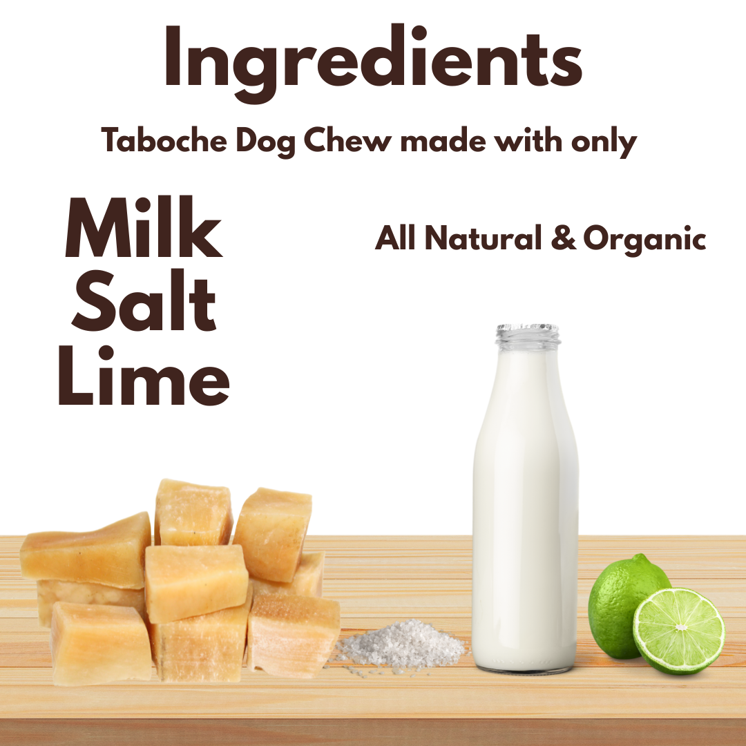 Taboche Dog Chew- Yak Cheese - All Natural & Organic- Long Lasting- A Flavor of The Himalayas - Yak Cheese Nuggets- 10 Pieces