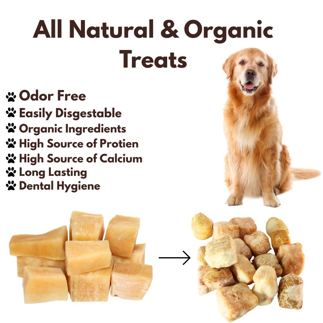 Taboche Dog Chew- Yak Cheese - All Natural & Organic- Long Lasting- A Flavor of The Himalayas - Yak Cheese Nuggets- 10 Pieces